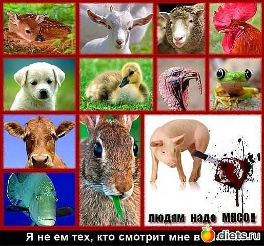 У человека выбор есть всегда