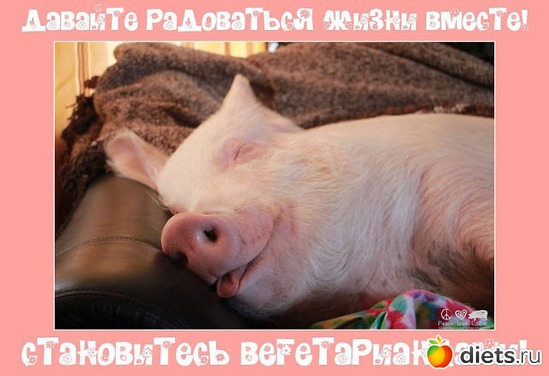 6 фото: У человека выбор есть всегда