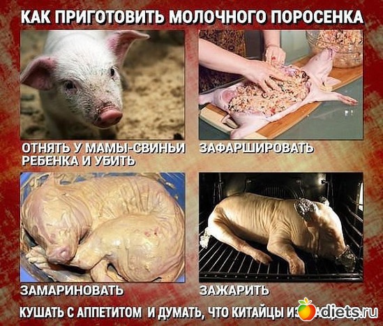 9 фото: У человека выбор есть всегда