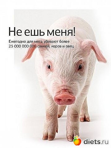 У человека выбор есть всегда