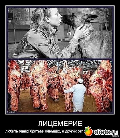 У человека выбор есть всегда