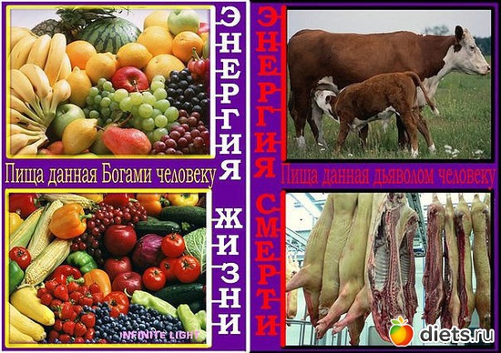 25 фото: У человека выбор есть всегда