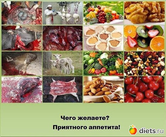 26 фото: У человека выбор есть всегда