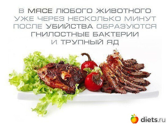 28 фото: У человека выбор есть всегда