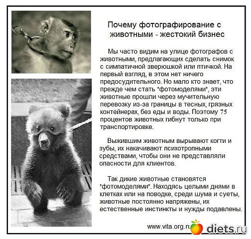 У человека выбор есть всегда