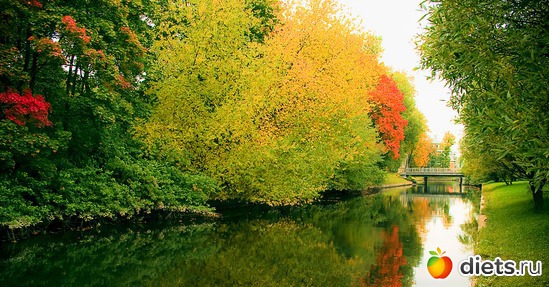 4 фото: Осень