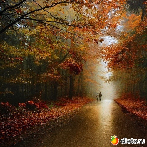 6 фото: Осень