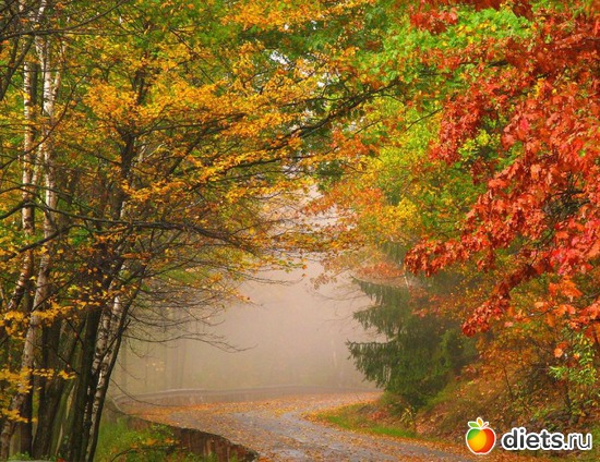 10 фото: Осень