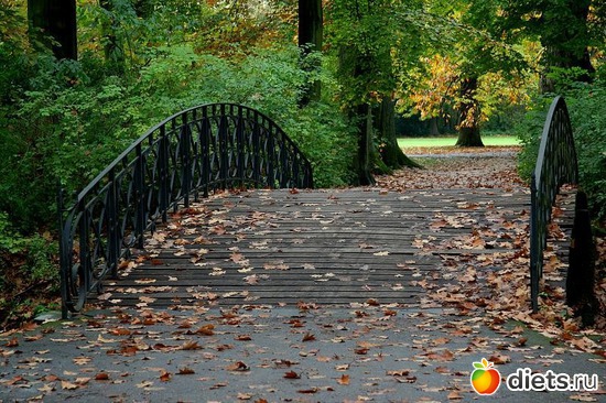 14 фото: Осень