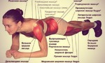 Передняя ПЛАНКА на локтях