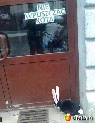 35 фото: Для комментов