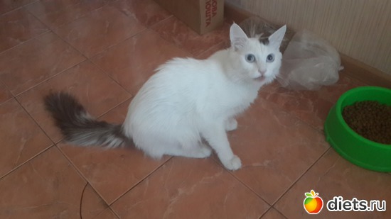 7 ����: 4 posts 4 all
