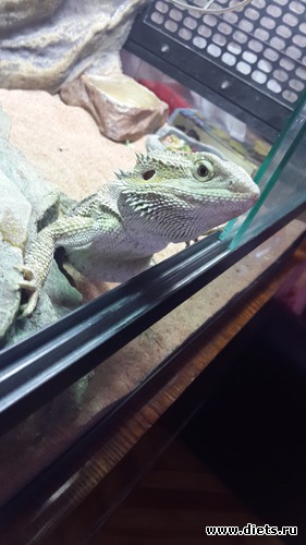 49 ����: ��� ������� �����