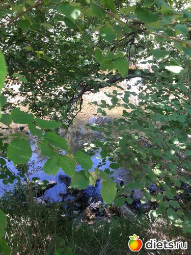 67 фото: нужное