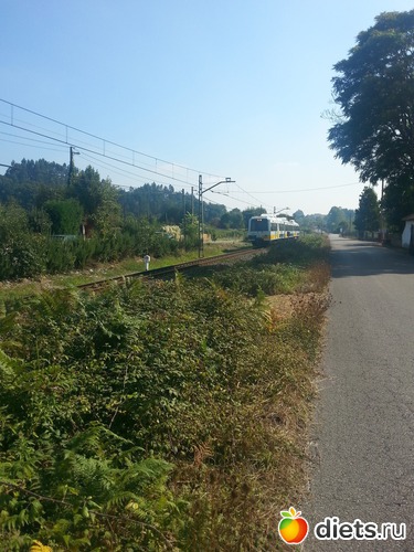 72 фото: нужное