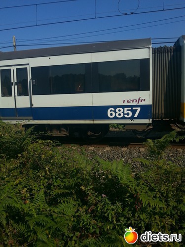 73 фото: нужное