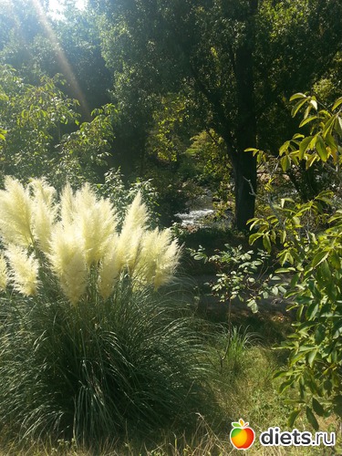 75 фото: нужное