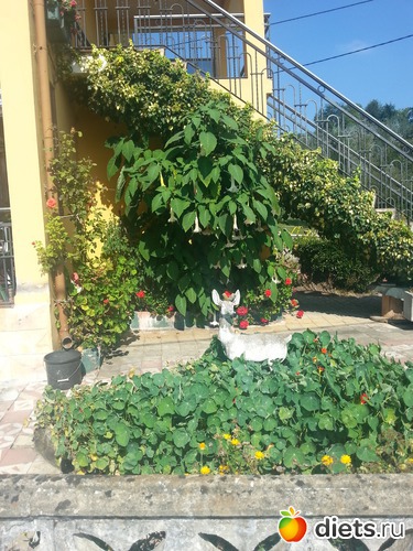 77 фото: нужное