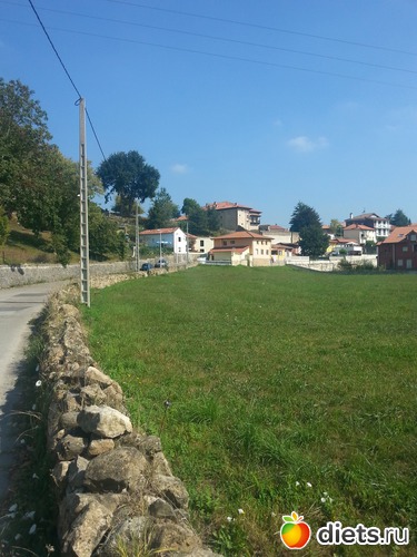 79 фото: нужное