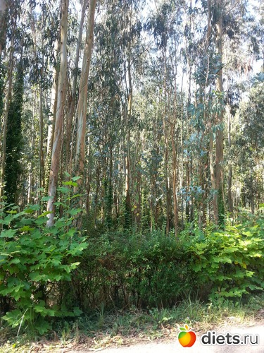 59 фото: нужное