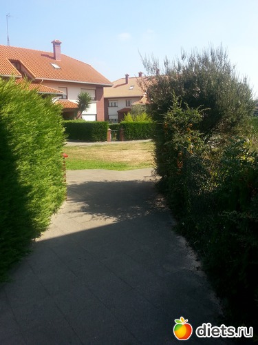 84 фото: нужное