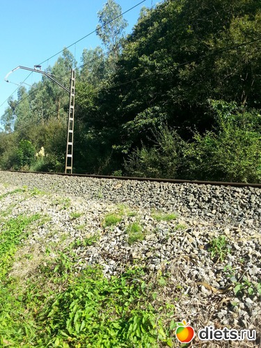 60 фото: нужное