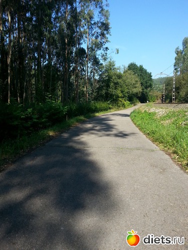 61 фото: нужное