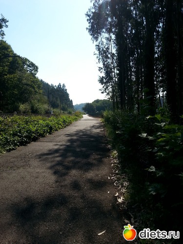 64 фото: нужное