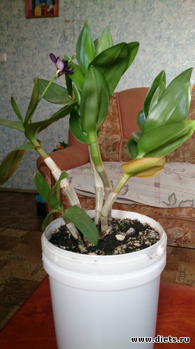 7 фото: Для вставок