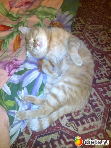 Ксандр дрыхнет, альбом: Счастливые моменты моей жизни... =)