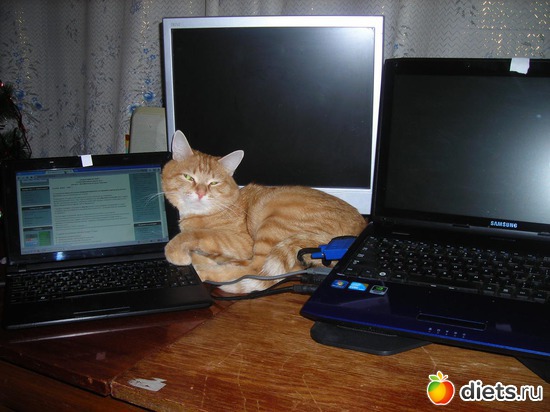 9 фото: Счастливые моменты моей жизни... =)