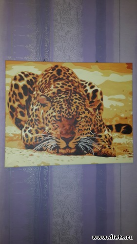 30 фото: всякое