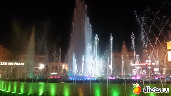 24 ����: ������ - ��������