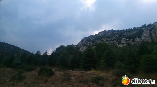 211 ����: ������ - ���������