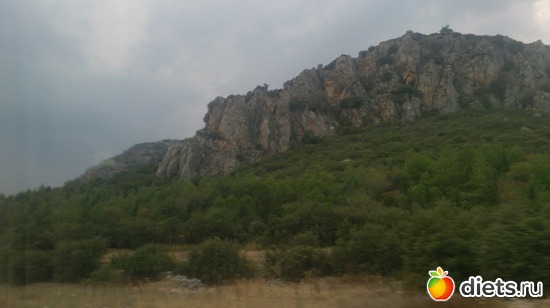 213 ����: ������ - ���������