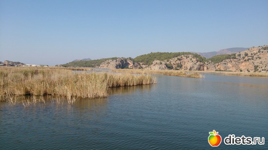 75 ����: ������ - ������