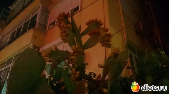 223 ����: ������ - ��������