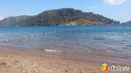 244 ����: ������ - ��������