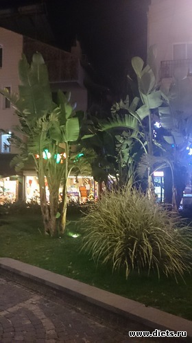 6 ����: ������ - ��������