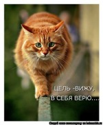 БЕЛОК В ПИТАНИИ