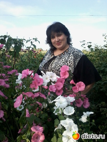 �, ������: �
