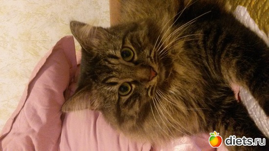 1 ����: ����