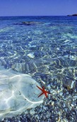 Всем кто скучает по морю посвящается!поздравляю всех! С днём Моря!