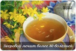 Зверобой лечит более 80 болезней - народная медицина.
