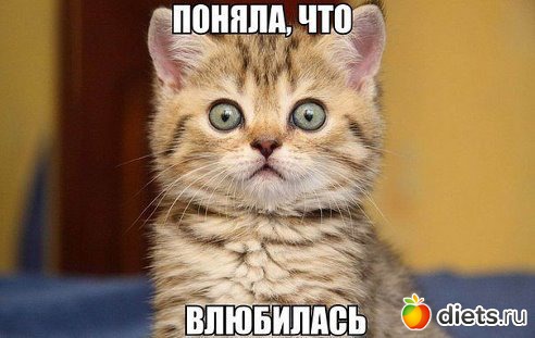 ���� ���-�� ���))