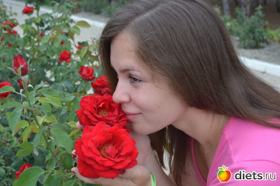 33 ����: �