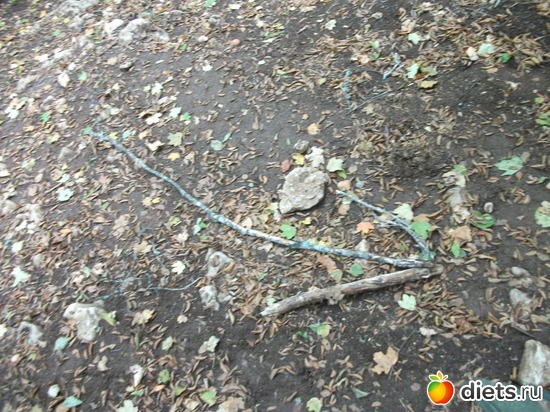 Стрелка-указатель для тех, кто отстал, альбом: Мегалиты Крыма