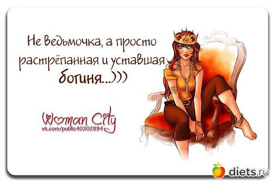 24 ����: ��� ����
