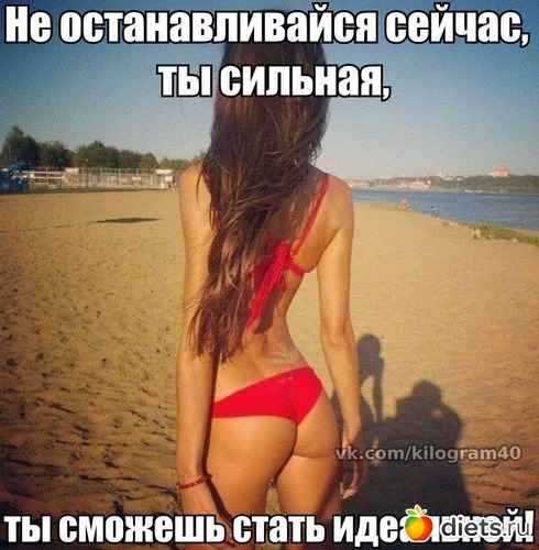 40 ����: ��� ����