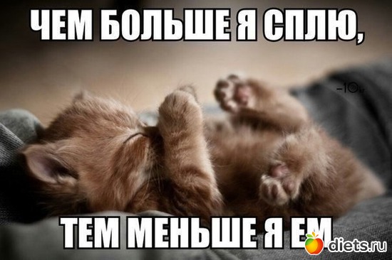 13 ����: ���������! ))